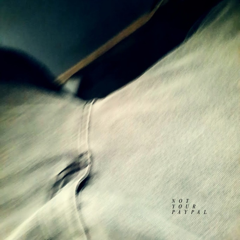 Not Your Paypal Single Cover